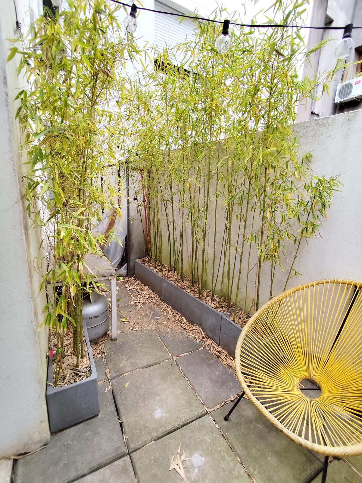 WhatsApp Image 2025-12-09 at 19.47.21 1.jpeg